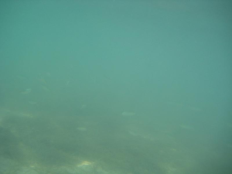 Picture 035
